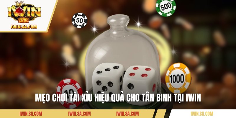 Mẹo chơi tài xỉu hiệu quả cho tân binh tại IWIN