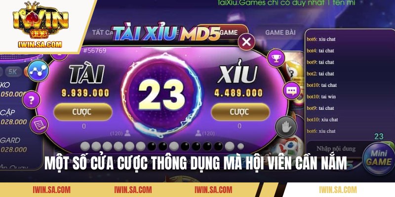 Một số cửa cược thông dụng mà hội viên cần nắm 